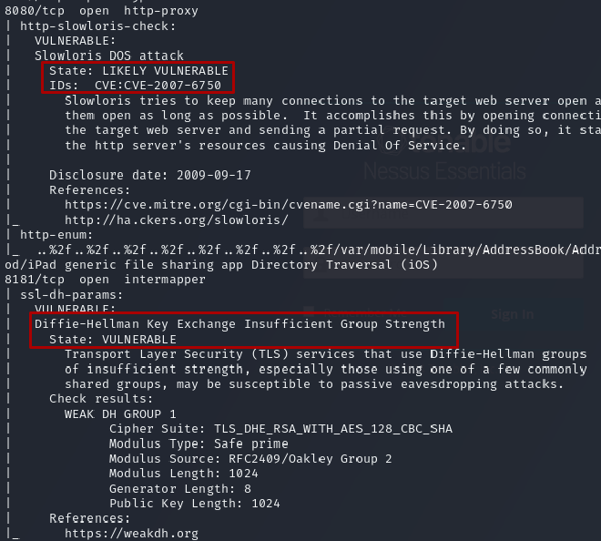 NSE-vuln-scan