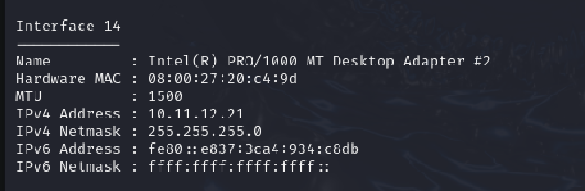 Interface-MAC-Ipconfig