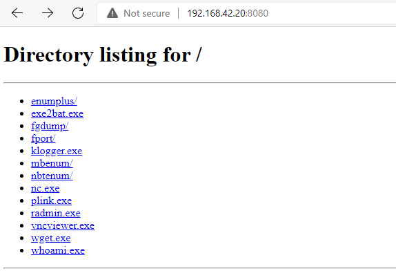Python-server-nc.exe