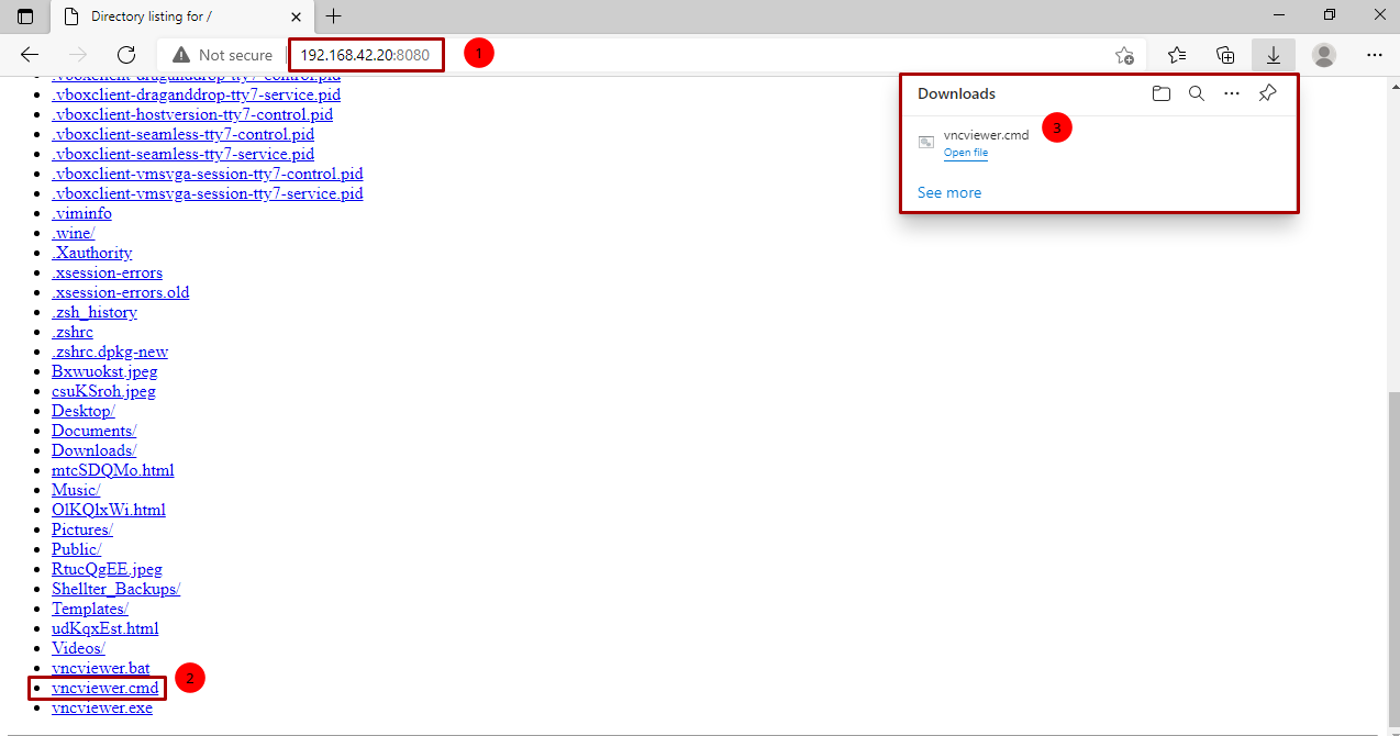 Download-vnc-python-server