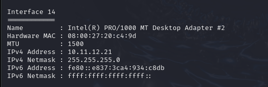 Interface-MAC-Ipconfig